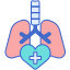 respiratory-system